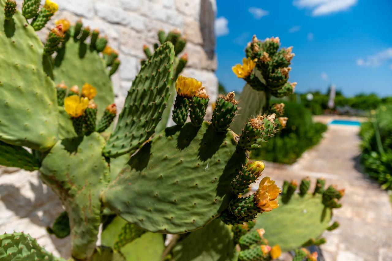 Wepuglia - Trullo Rampone Villa Martina Franca Luaran gambar